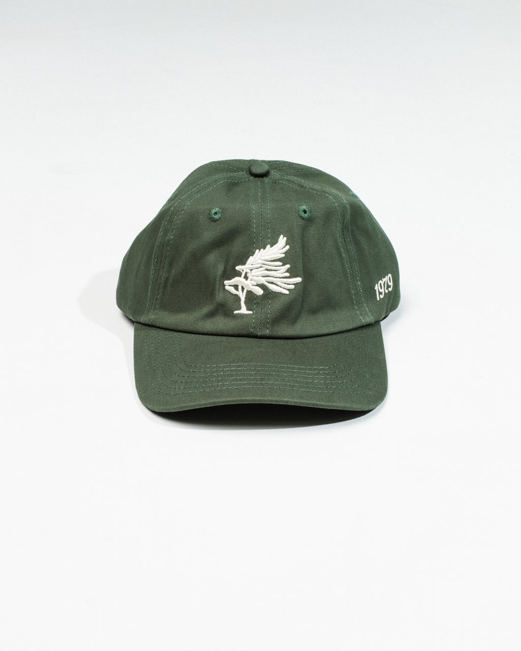 Georgian Bay Dad Cap