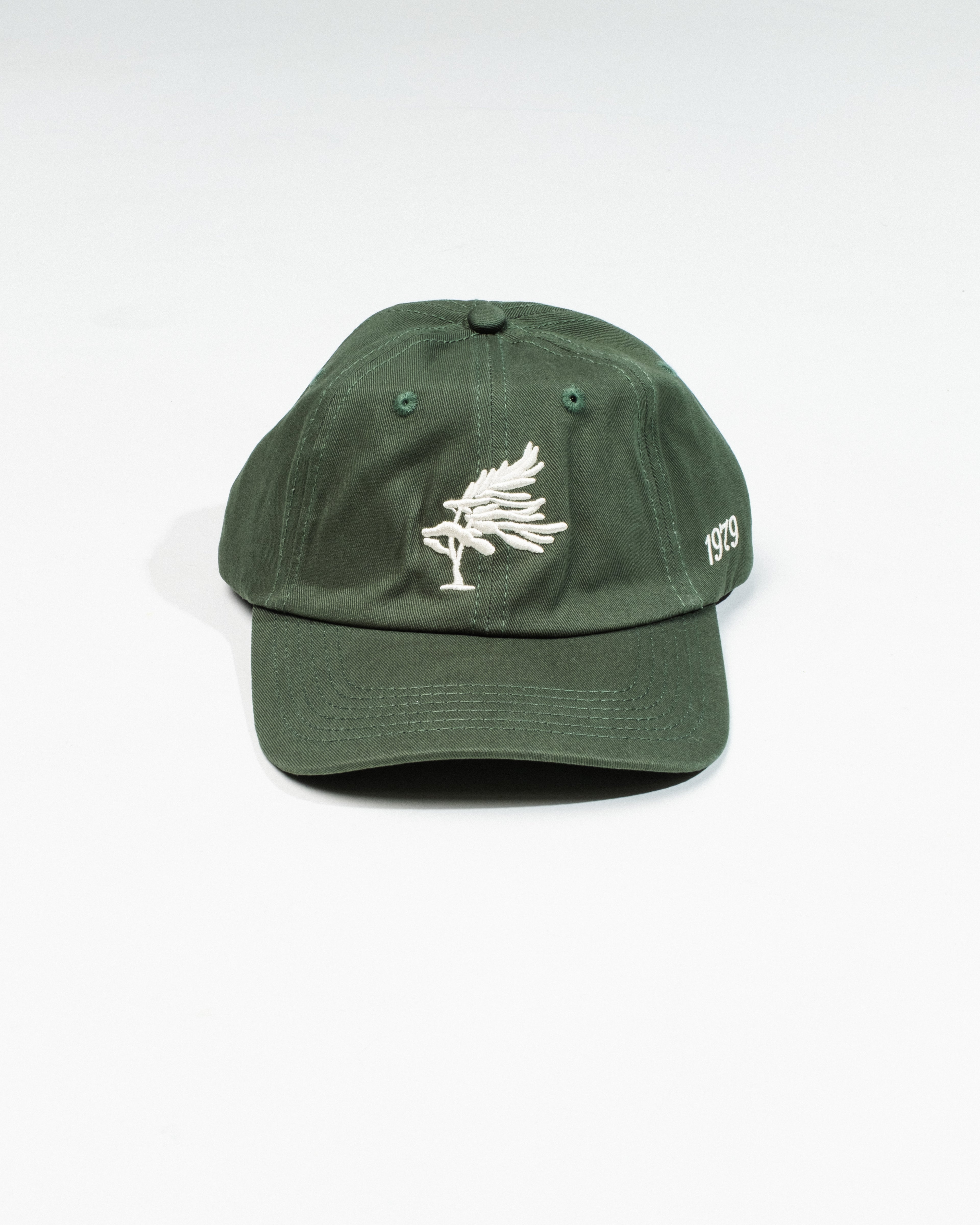 Georgian Bay Dad Cap