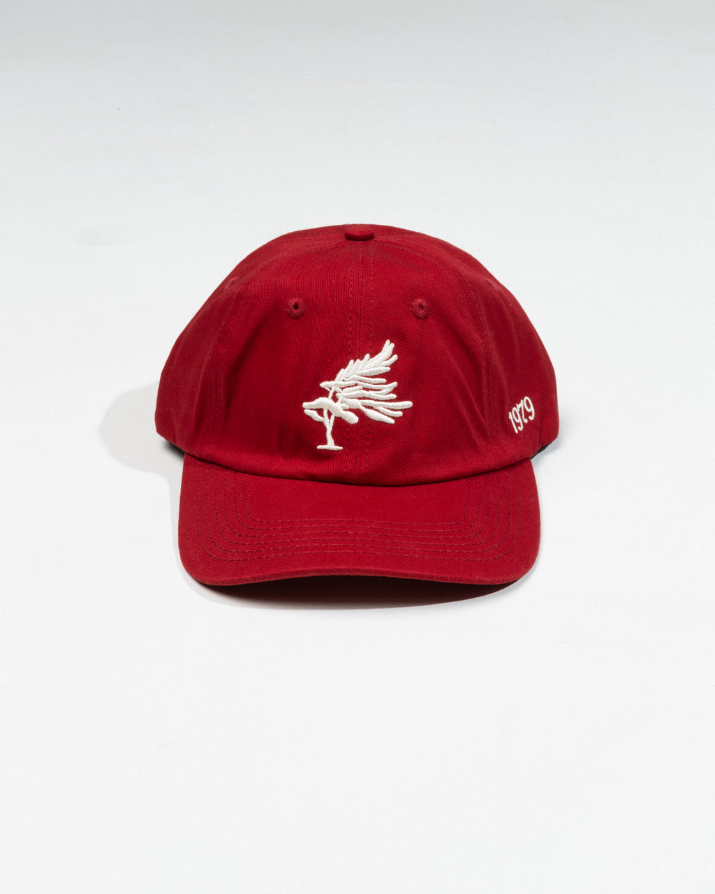 Georgian Bay Dad Cap