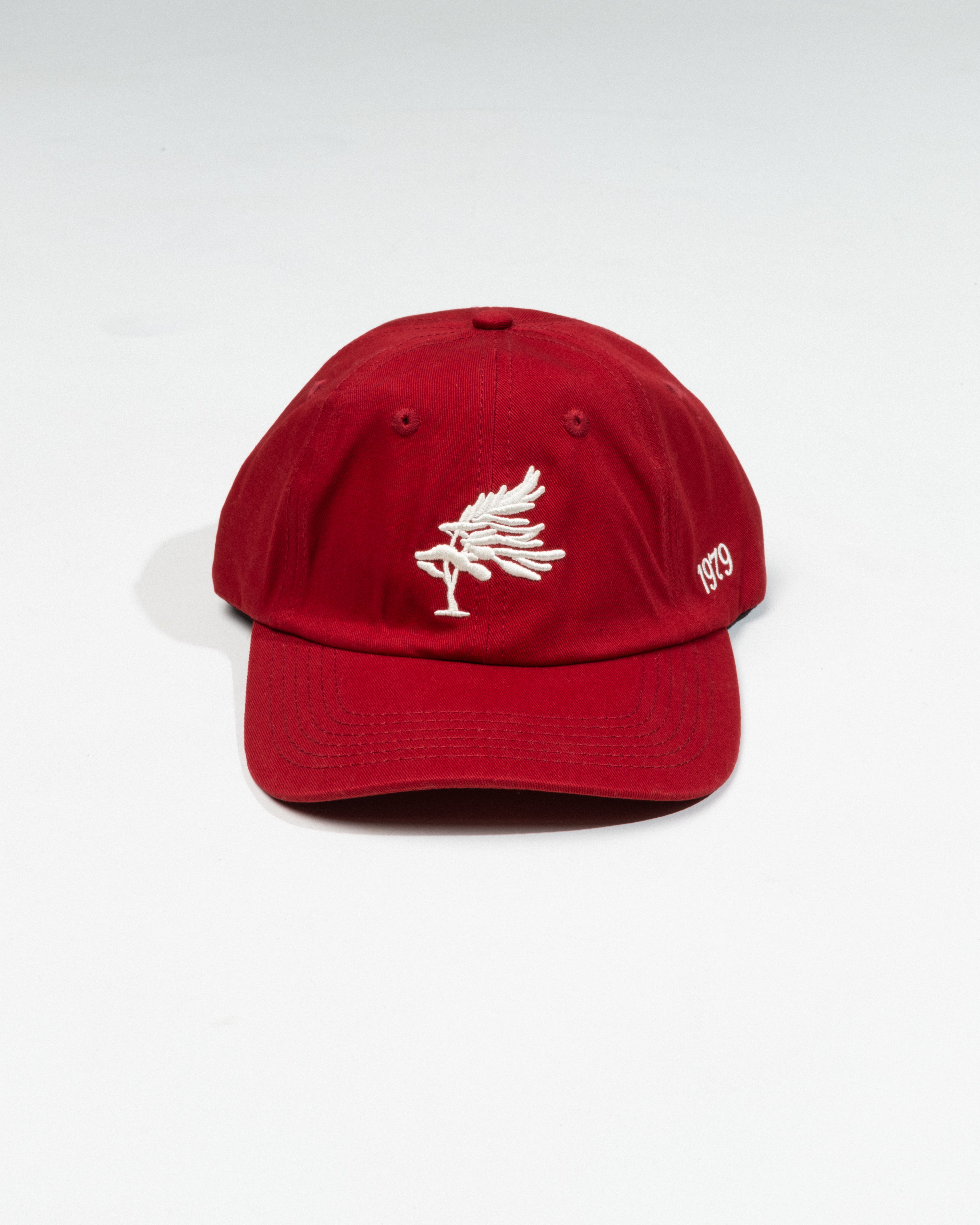 Georgian Bay Dad Cap