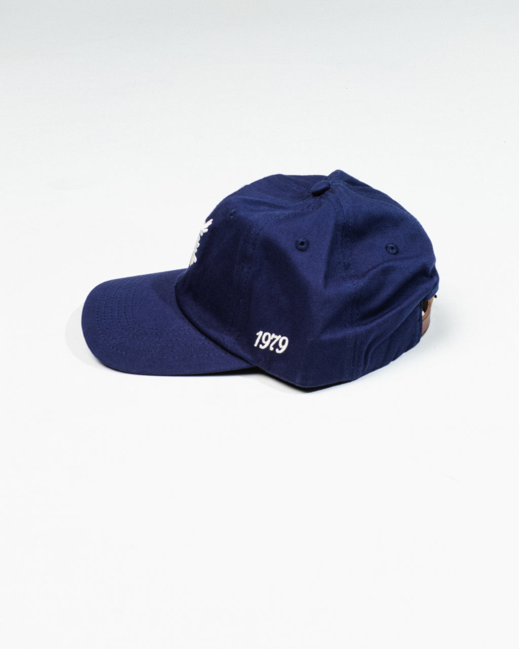 Georgian Bay Dad Cap