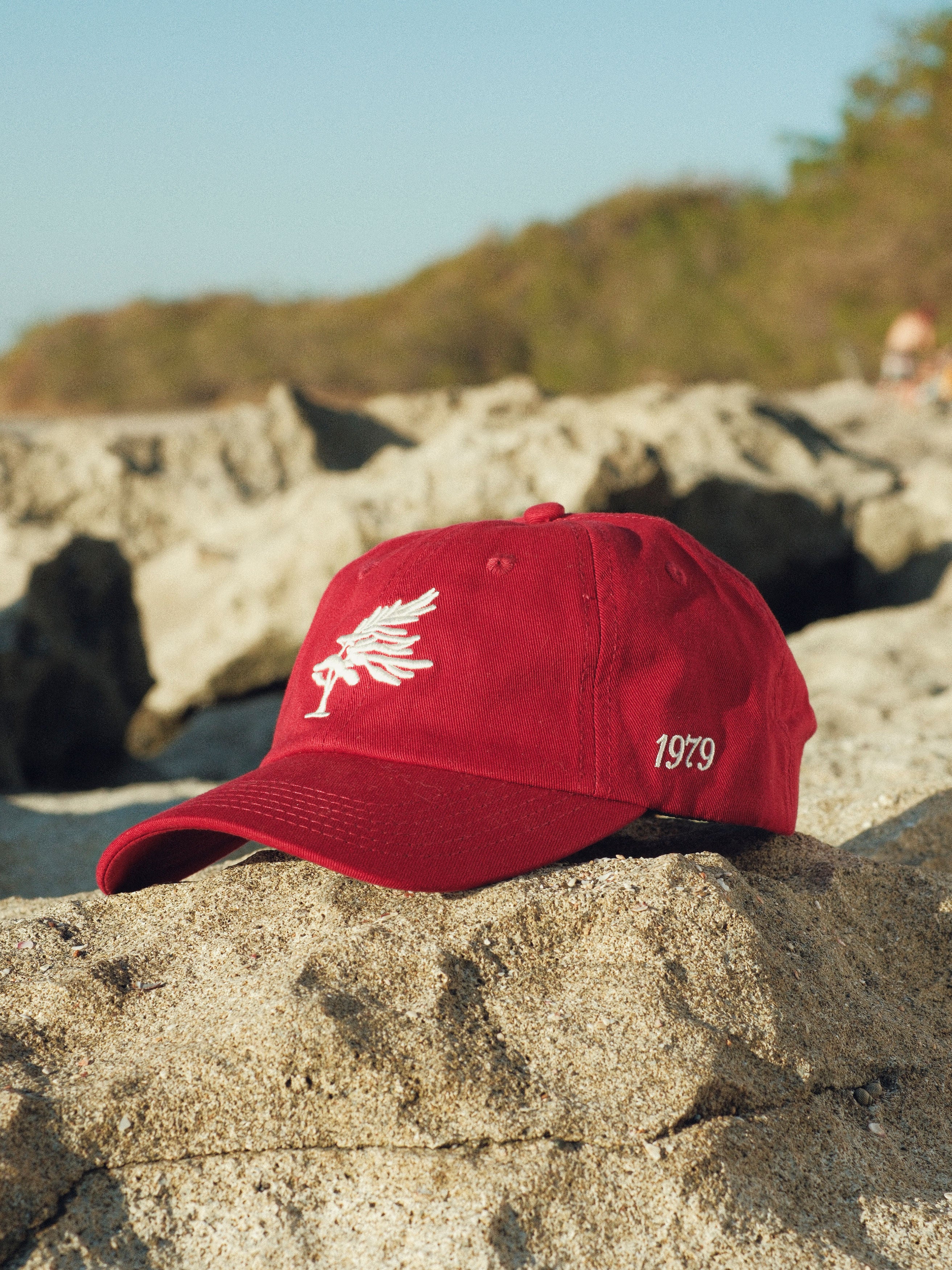 Georgian Bay Dad Cap