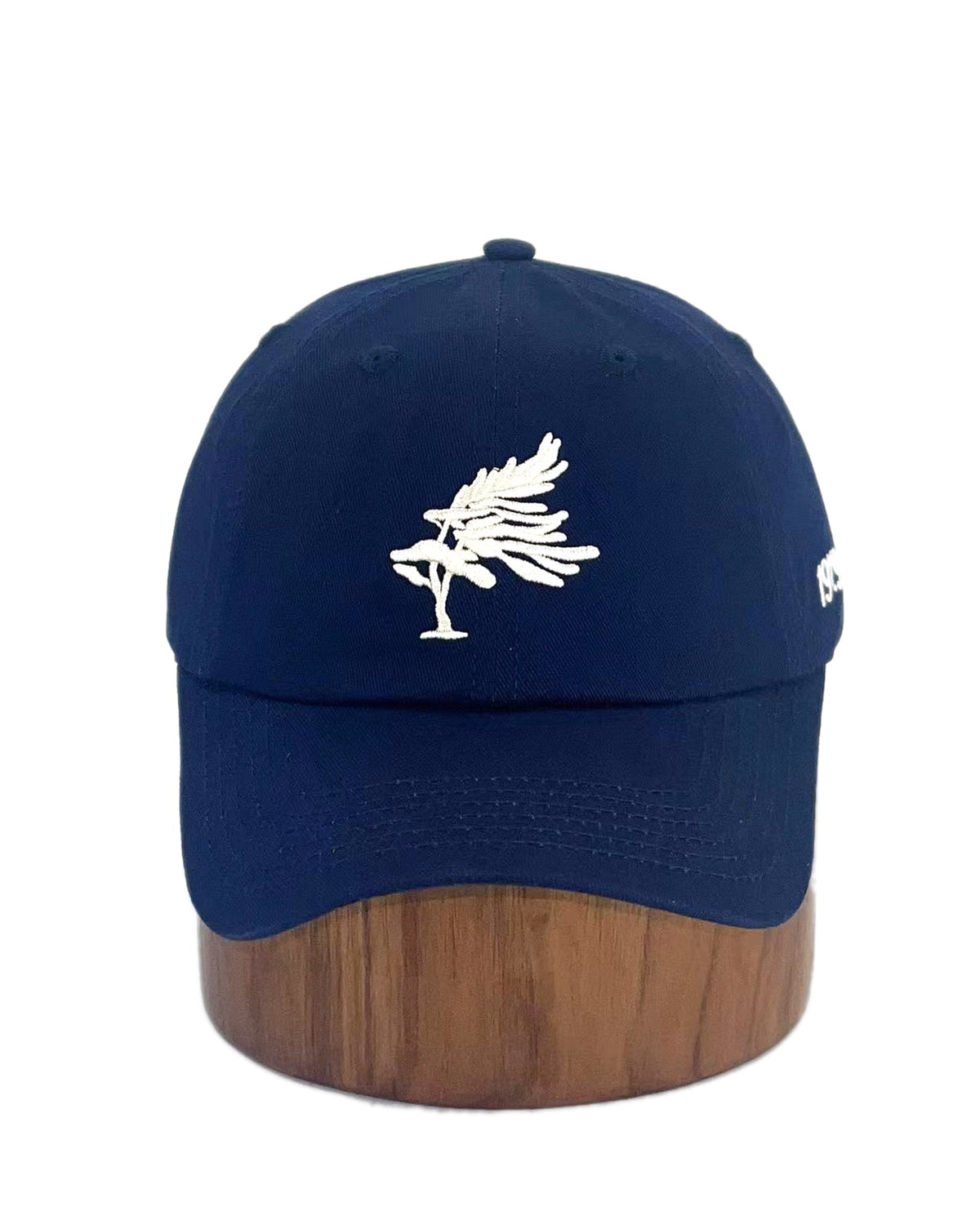 Georgian Bay Dad Cap — Navy, front